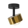 Puk! 80 Turn Up/Downlight Linse Matt Gold/schwarz 1 Puk! 80 Turn Up/Downlight Linse Matt Gold/schwarz -Top Light 10010562
