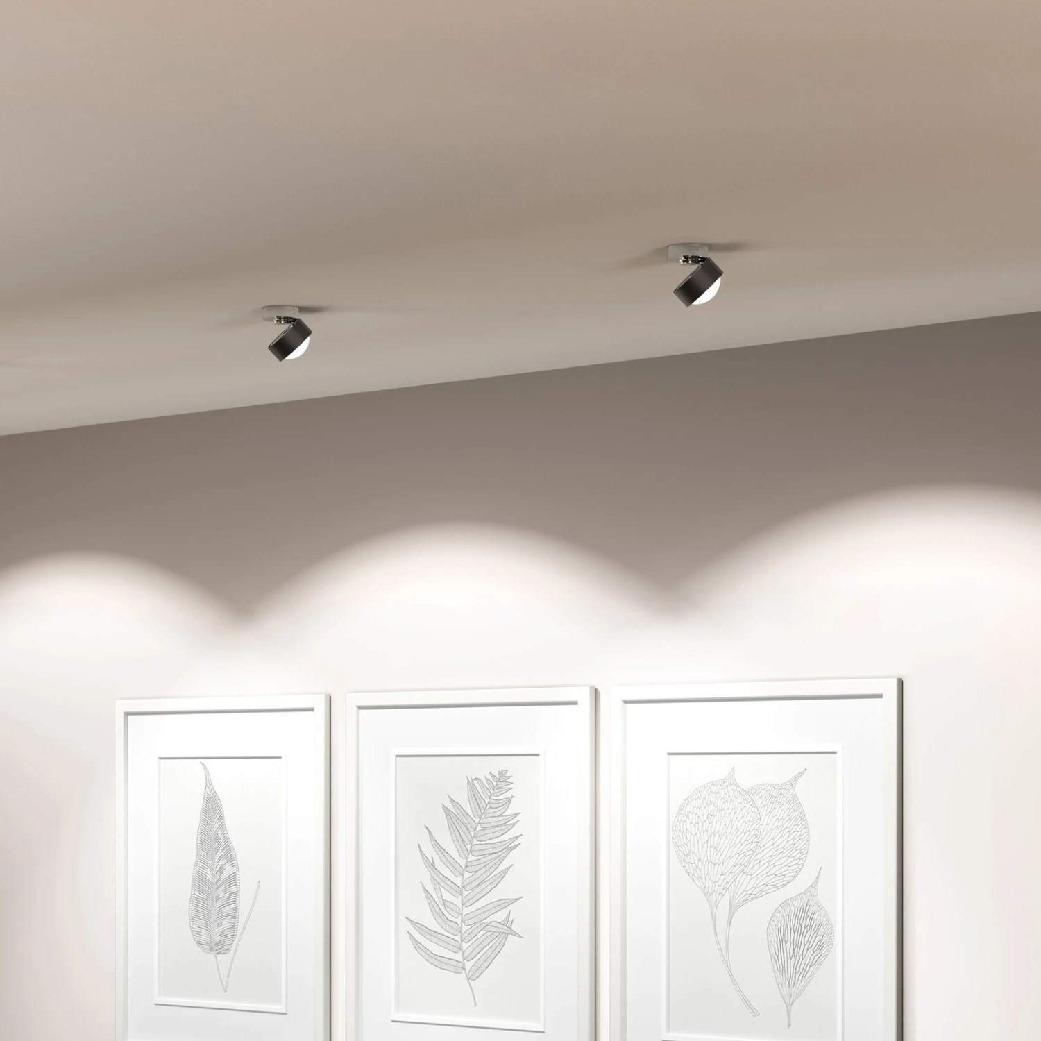 Puk! 80 Move LED-Spot Linse matt dunkelbraun/chrom Puk! 80 Move LED-Spot Linse Matt Dunkelbraun/chrom -Top Light 10010592 4