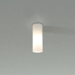 Schlichte Deckenleuchte DELA Aus Weißem Glas -Top Light 9020020 2
