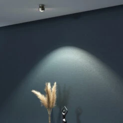 Puk Mini Move LED, Linse Klar, Nickel Matt -Top Light 9020673 7