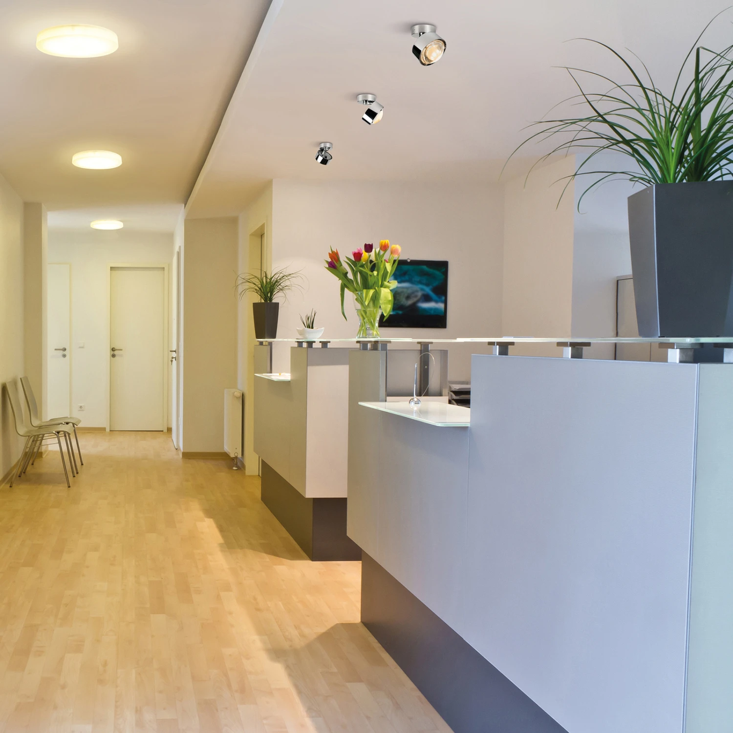 Puk Mini Move G9 Spot, Linse klar, chrom Puk Mini Move G9 Spot, Linse Klar, Chrom -Top Light 9020681 5