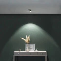 Puk Mini Move G9 Spot, Linse Klar, Nickel Matt -Top Light 9020682 4